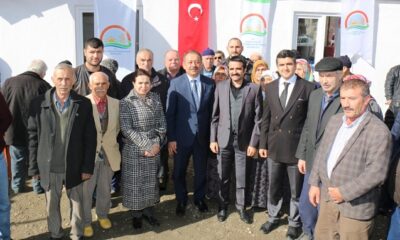 ŞAPİNUVA BAĞLARI YENİDEN CANLANACAK