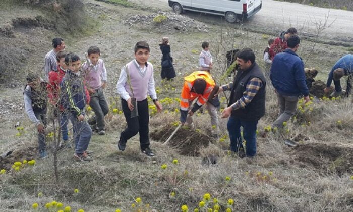 HER ŞEHİT İÇİN BİR FİDAN DİKTİLER