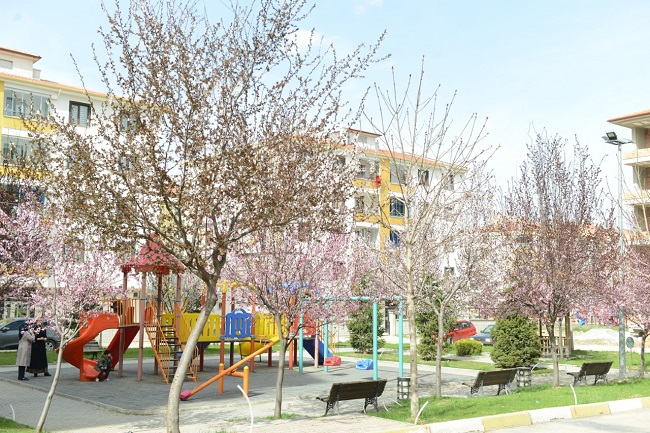 ÇORUM’A BAHAR GELDİ