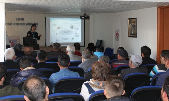 KİŞİSEL HİJYEN EĞİTİMİ VERİLDİ