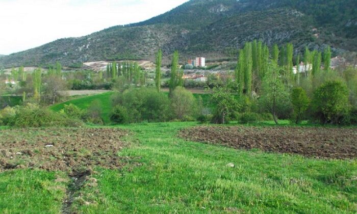 LAÇİN’DE İYİ TARIM UYGULAMASI BAŞLADI