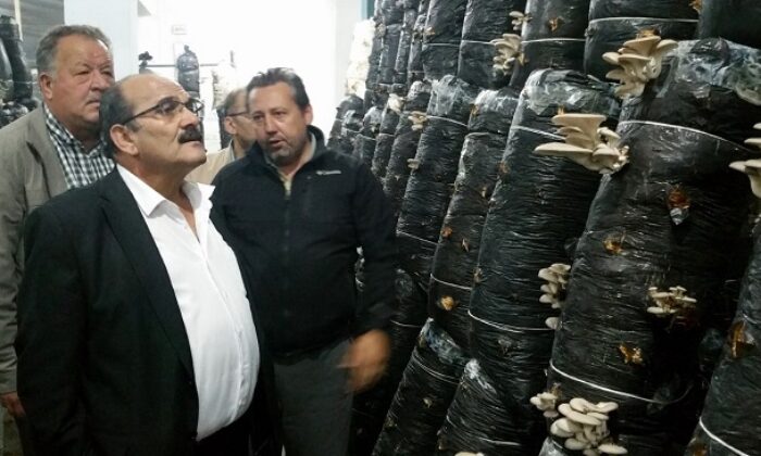 ŞEN’DEN MANTAR ÜRETİCİLERİNE ZİYARET