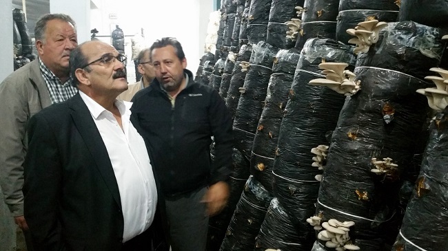 ŞEN’DEN MANTAR ÜRETİCİLERİNE ZİYARET