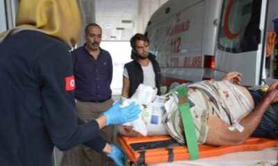 BAŞINA AĞAÇ DÜŞTÜ ÖLDÜ