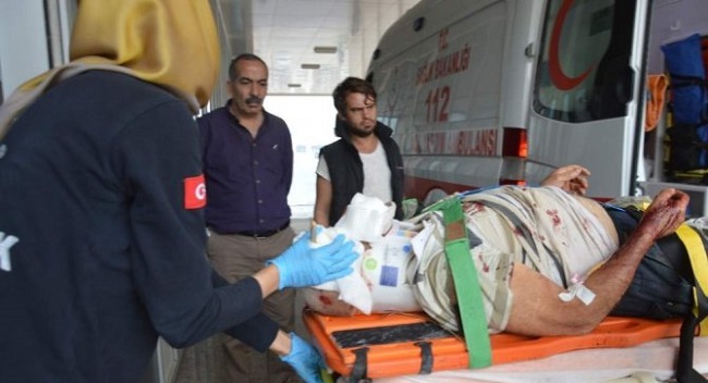 BAŞINA AĞAÇ DÜŞTÜ ÖLDÜ