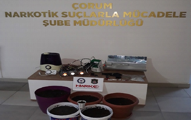 ÇORUM NARKOTİK’TEN 9 ADRESE OPERASYON