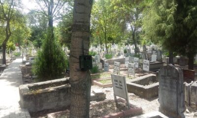 GİZEMLİ KIZ İÇİN FOTOKAPAN KURULDU