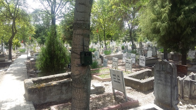 GİZEMLİ KIZ İÇİN FOTOKAPAN KURULDU