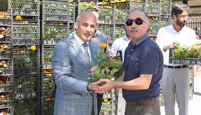 MEZARLIKLARDA 60 BİN ÇİÇEK DAĞITILACAK