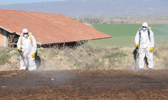 KÖYLERDE VEKTÖREL MÜCADELE YAPILIYOR