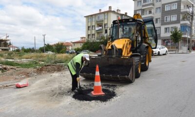 KANAL BACALARI GÜN YÜZÜNÜ ÇIKARTILIYOR