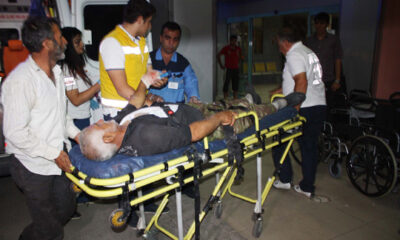 PATOS KAYIŞI PARMAKLARINI KOPARDI