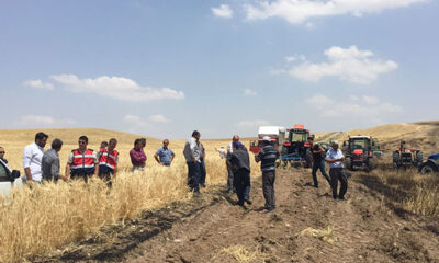 KÖYLÜNÜN EKİLİ ARPA TARLASI YANDI