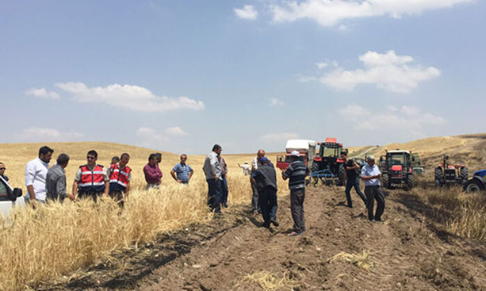 KÖYLÜNÜN EKİLİ ARPA TARLASI YANDI
