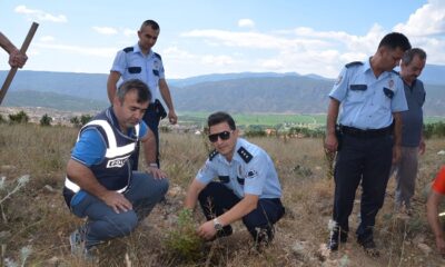 15 TEMMUZ ŞEHİTLERİ İÇİN FİDAN DİKTİLER