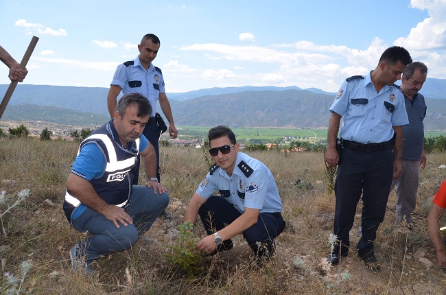 15 TEMMUZ ŞEHİTLERİ İÇİN FİDAN DİKTİLER