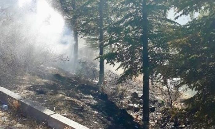 SUNGURLU’DA ÇAM AĞAÇLARI YAKILDI