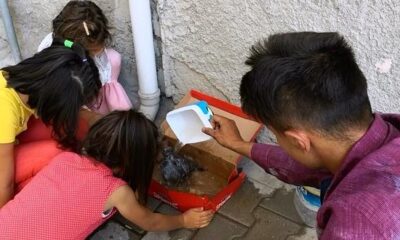 YARALI KUŞ İÇİN SEFERBER OLDULAR