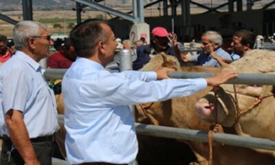 HAYVAN PAZARINDA İNCELEMELERDE BULUNDU