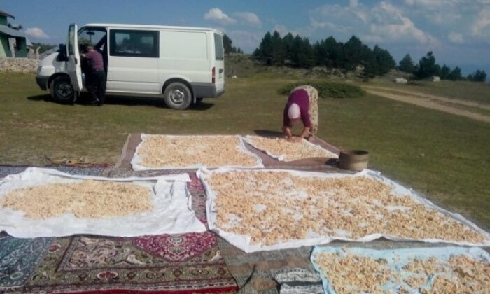 TARHANA KIŞIN OLMAZSA OLMAZI