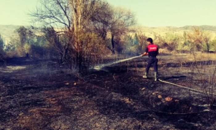 50 DÖNÜM ARAZİ YANDI