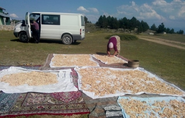 TARHANA KIŞIN OLMAZSA OLMAZI