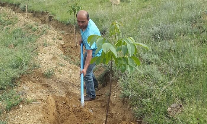 194 KÖYE 330 BİN FİDAN DİKİMİ YAPILDI