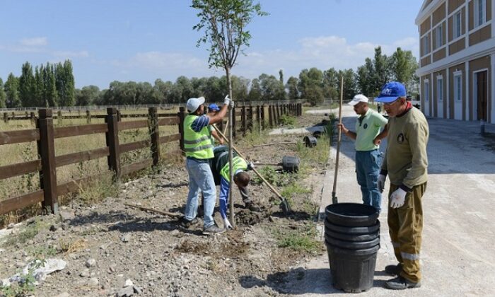 BİNİCİLİK TESİSİNDE PEYZAJ ÇALIŞMASI