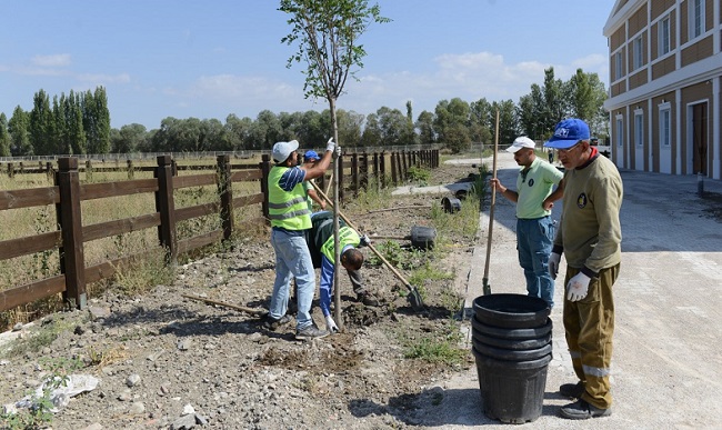 BİNİCİLİK TESİSİNDE PEYZAJ ÇALIŞMASI