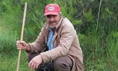 KESTİĞİ AĞACIN ALTINDA CAN VERDİ