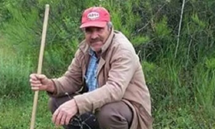 KESTİĞİ AĞACIN ALTINDA CAN VERDİ