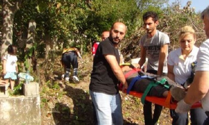 CEVİZ AĞACINDAN DÜŞEREK YARALANDI