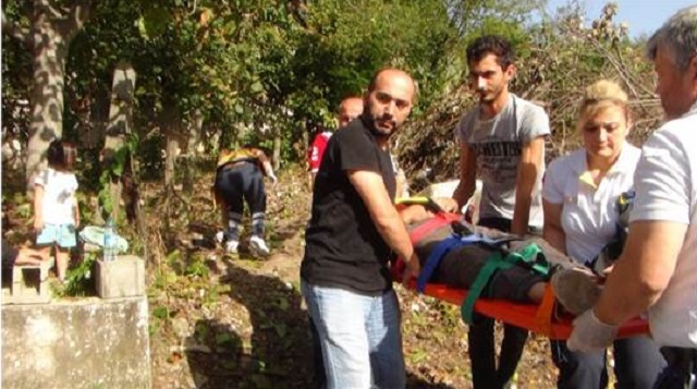 CEVİZ AĞACINDAN DÜŞEREK YARALANDI