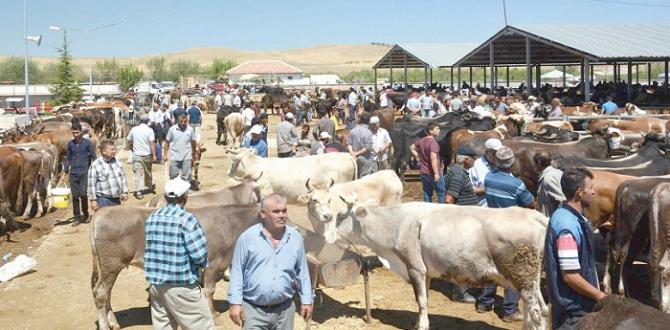 HAYVAN PAZARLARI KAPATILDI