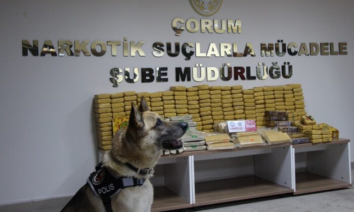 BAL TENEKELERİNDEN 176 KİLO EROİN ÇIKTI