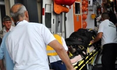 ORMAN İŞÇİSİ AĞIR YARALANDI