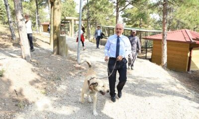 AMACIMIZ HAYVAN DOSTU BİR KENT OLMAK