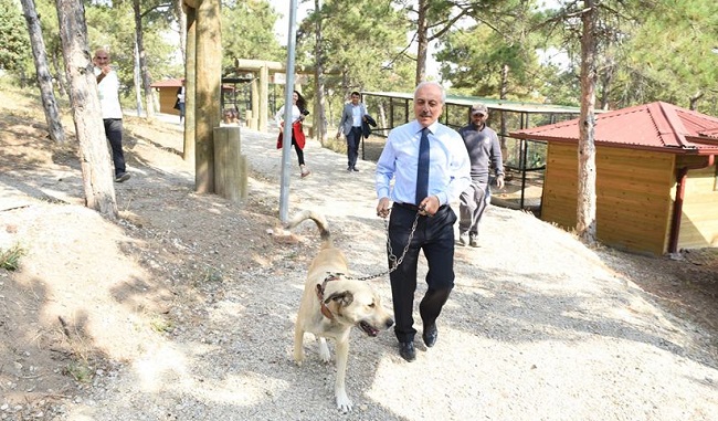 AMACIMIZ HAYVAN DOSTU BİR KENT OLMAK
