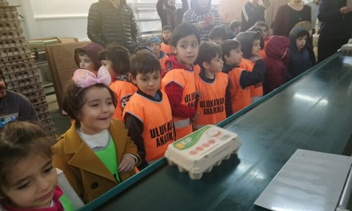 ULUKAVAK ANAOKULUNDAN ÇİFTLİK GEZİSİ