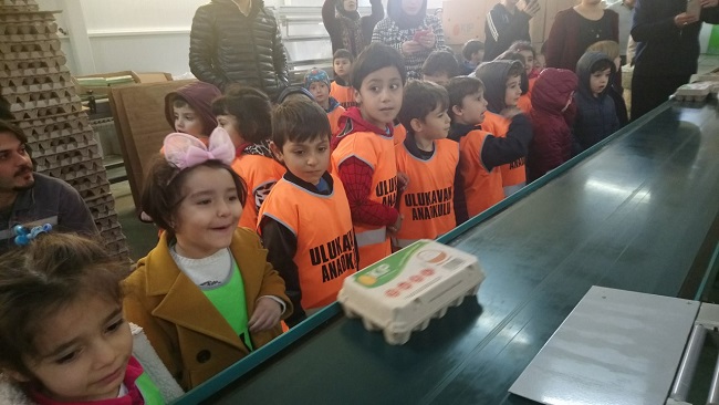 ULUKAVAK ANAOKULUNDAN ÇİFTLİK GEZİSİ