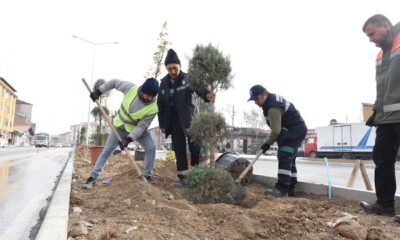CENGİZ TOPEL’DE AĞAÇLANDIRMA ÇALIŞMASI