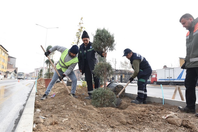 CENGİZ TOPEL’DE AĞAÇLANDIRMA ÇALIŞMASI