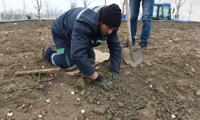 KENTPARK’TA GÜL BAHÇESİ OLUŞTURULDU