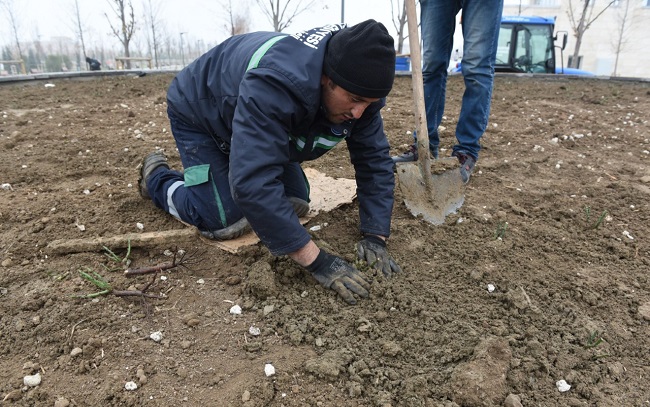 KENTPARK’TA GÜL BAHÇESİ OLUŞTURULDU