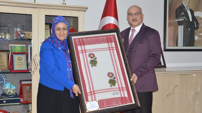 TOKAT İLE ORTAK PROJE YAPILACAK