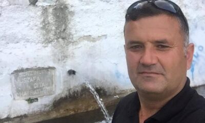 DOMUZ AVINDA HAYATINI KAYBETTİ