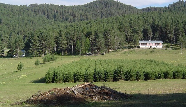 KARGI TURİZMİ MARKALAŞMA YOLUNDA