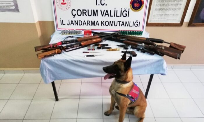 JANDARMADAN SİLAH KAÇAKÇILARINA OPERASYON