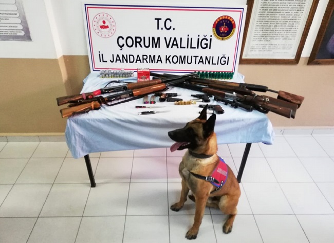 JANDARMADAN SİLAH KAÇAKÇILARINA OPERASYON