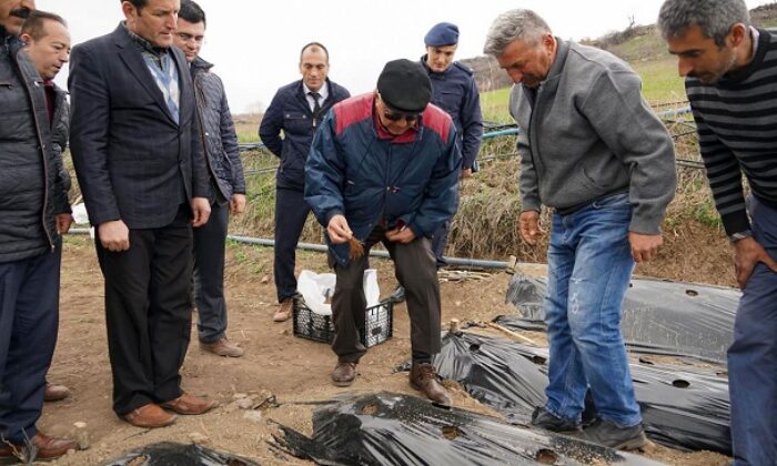 ÇİLEK EKEN KÖYLER ZENGİN OLACAK